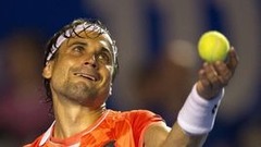 Феррер поднялся на седьмое место в рейтинге ATP