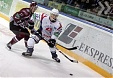 Рижское «Динамо» вышло в плей-офф КХЛ