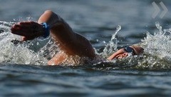 На открытой воде поборются за медали чемпионата мира